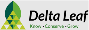 Delta Leaf